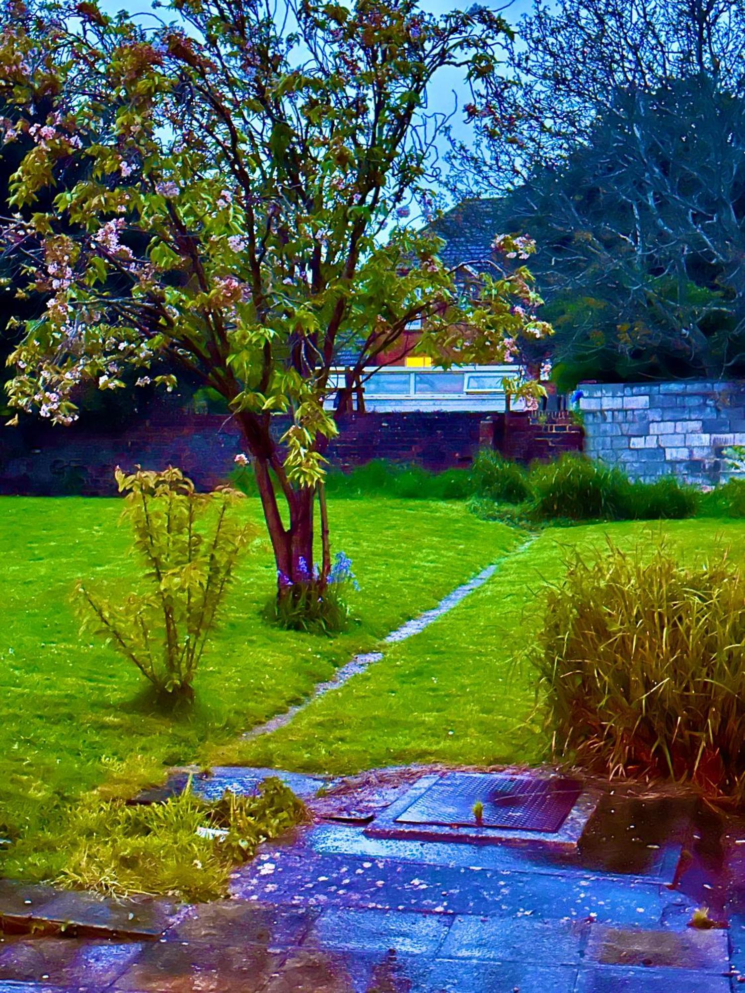 Tranquility Short & Long * Истбурн